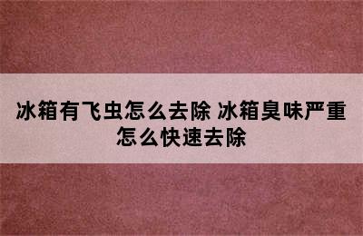 冰箱有飞虫怎么去除 冰箱臭味严重怎么快速去除